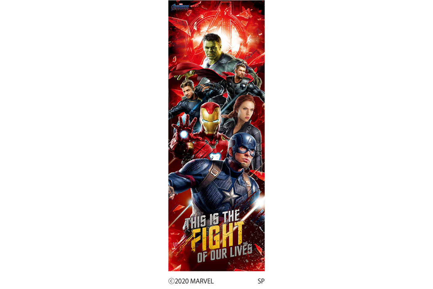 M006 MARVEL 《AVENGERS ENDGAME》 2シートタイプ