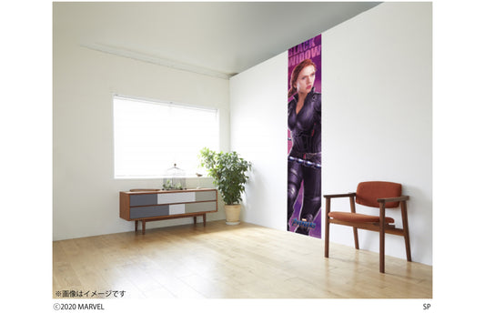 M009 MARVEL 《AVENGERS ENDGAME》 ブラック・ウィドウ 1シートタイプ