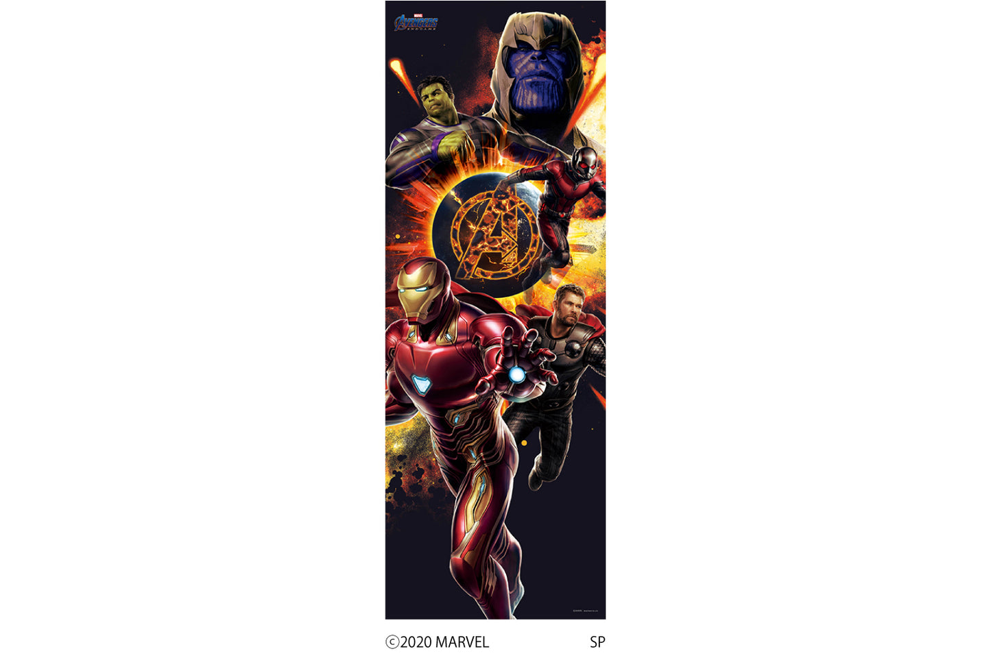 M019 MARVEL 《AVENGERS ENDGAME》 2シートタイプ