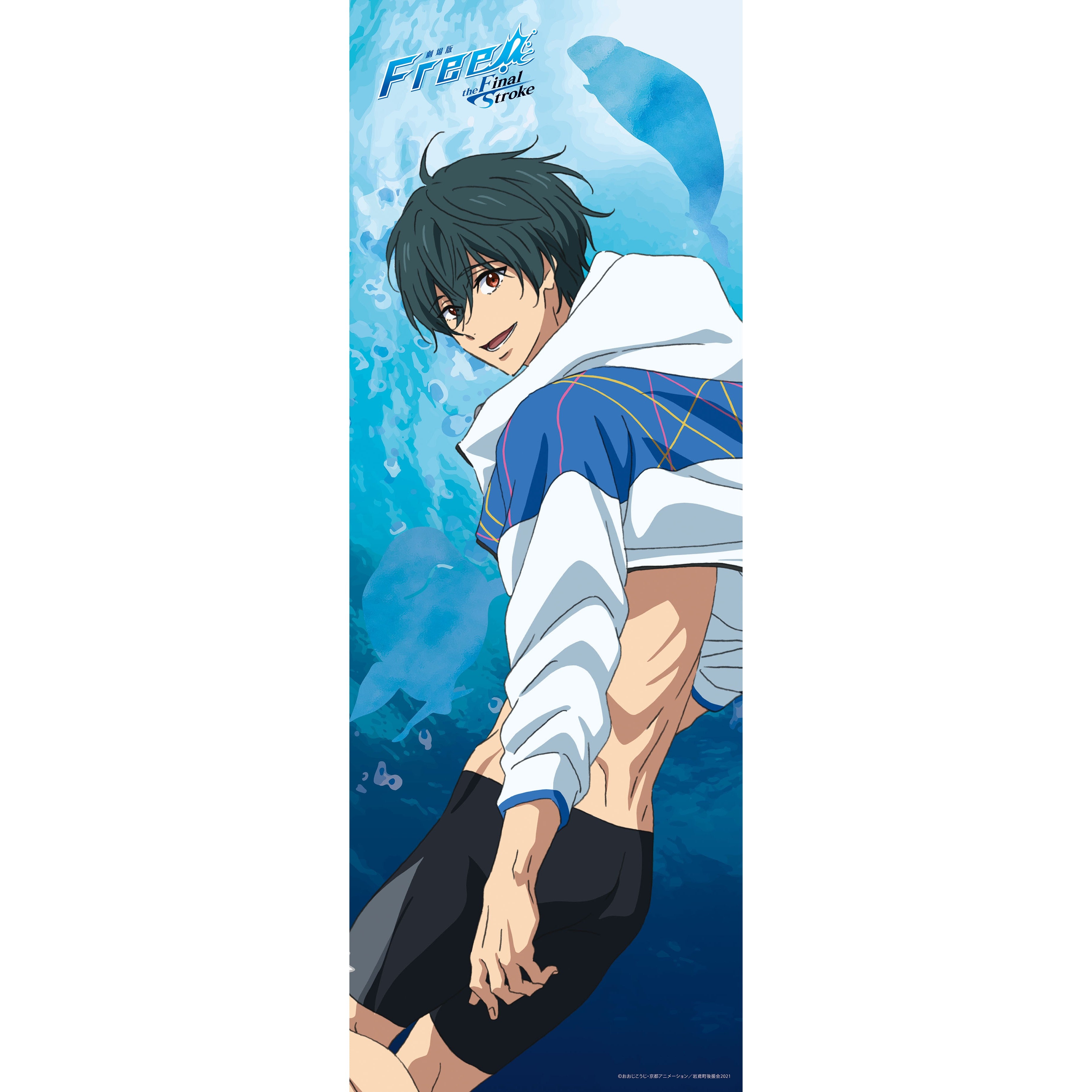 Free! Rord to the World-the Dream 七瀬遙