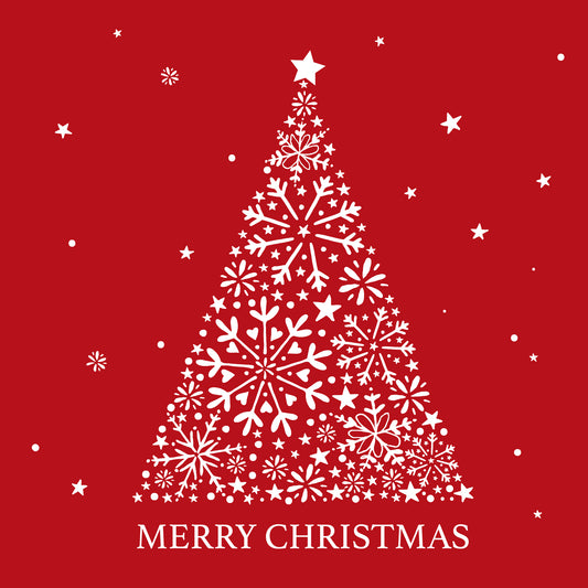 クリスマス EA-XM-001