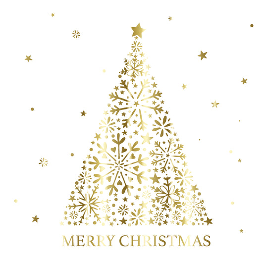 クリスマス EA-XM-002