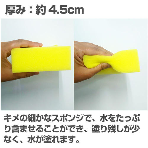 スポンジ